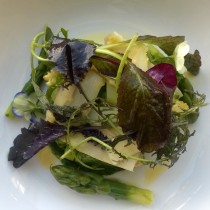 Spring salad