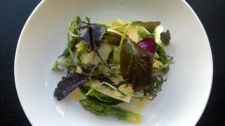 Spring salad