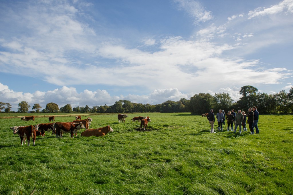 3 - COWS, GROUP 2016-09-25 - Bord Bia London Chefs Tullamore-5210